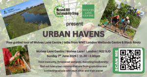 community garden, wetlands, biodiversity, community growing,