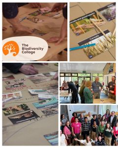 biodiversity collage